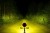 purelux_9110_lens2_beam.jpg