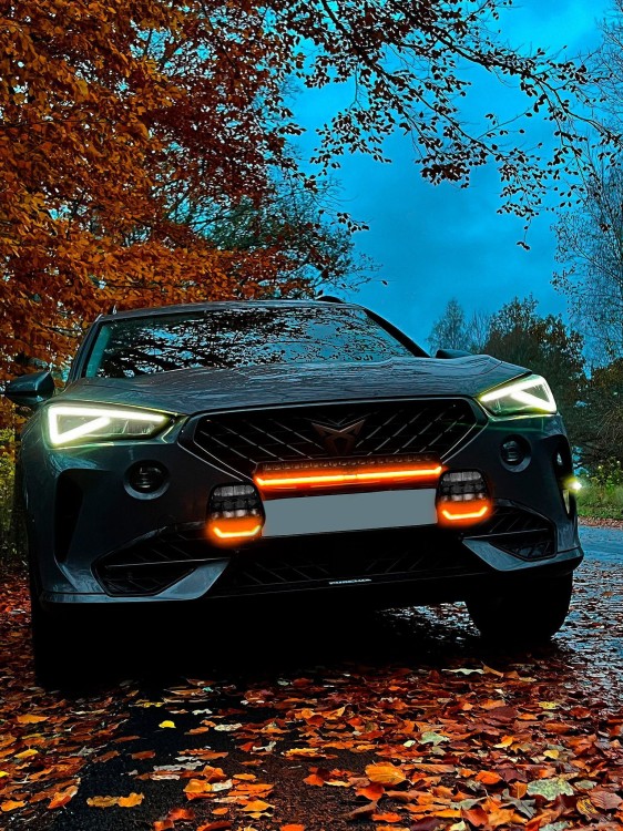 purelux_wrc19_cupra.jpg