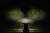purelux_panther_aero_s540_gen2_beam.jpg