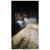 purelux_black_flush_mount_in_use_2.jpeg