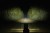 purelux_panther_aero_s800_beam.jpg