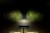 purelux_panther_gen3_S540_beam_1.jpg