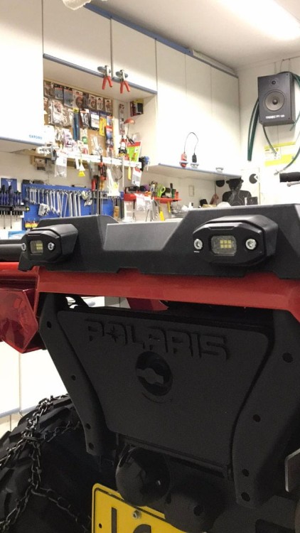purelux_buckler_polaris_1.jpg